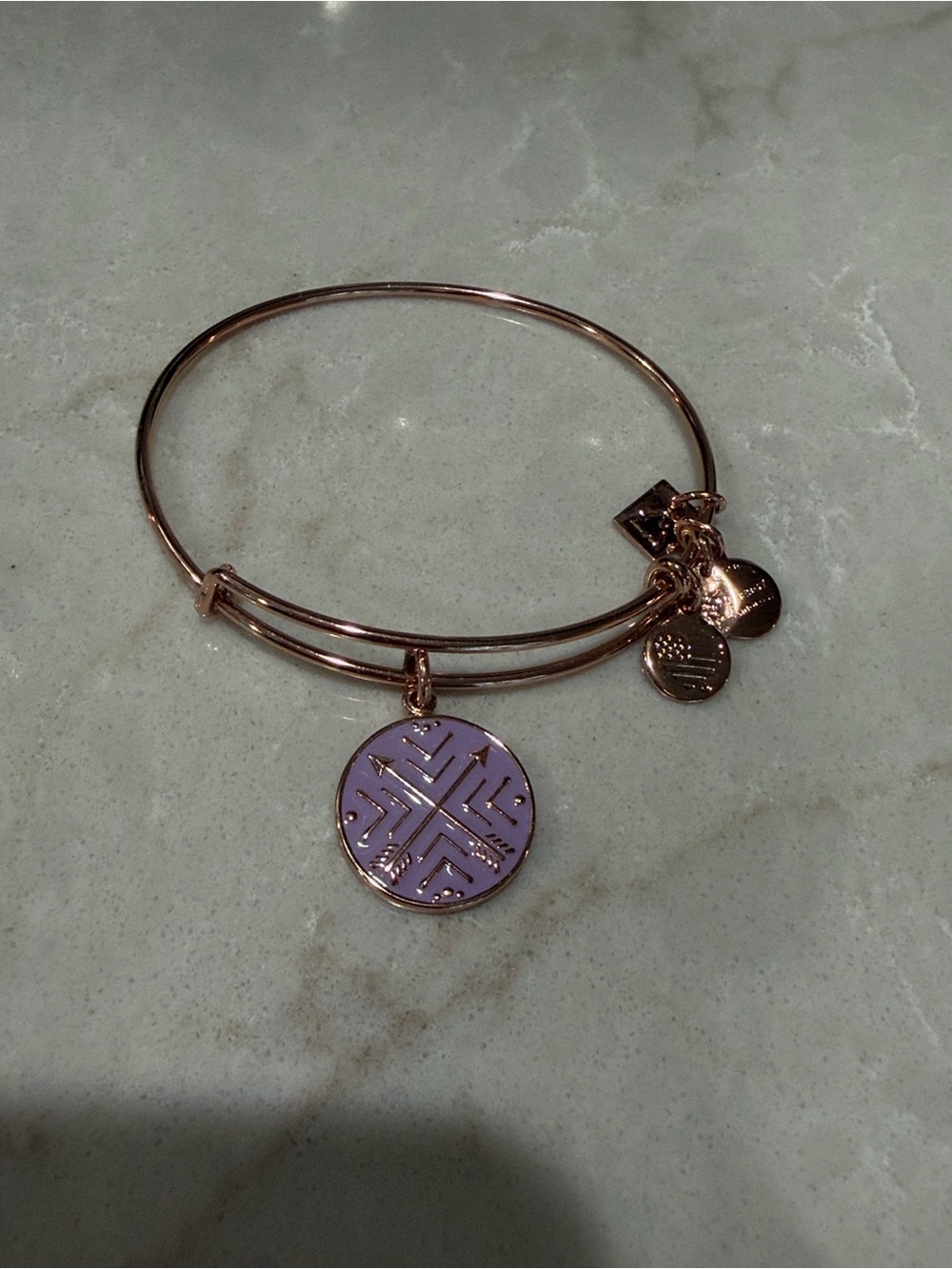 Alex and Ani Arrows of Friendship Bangle